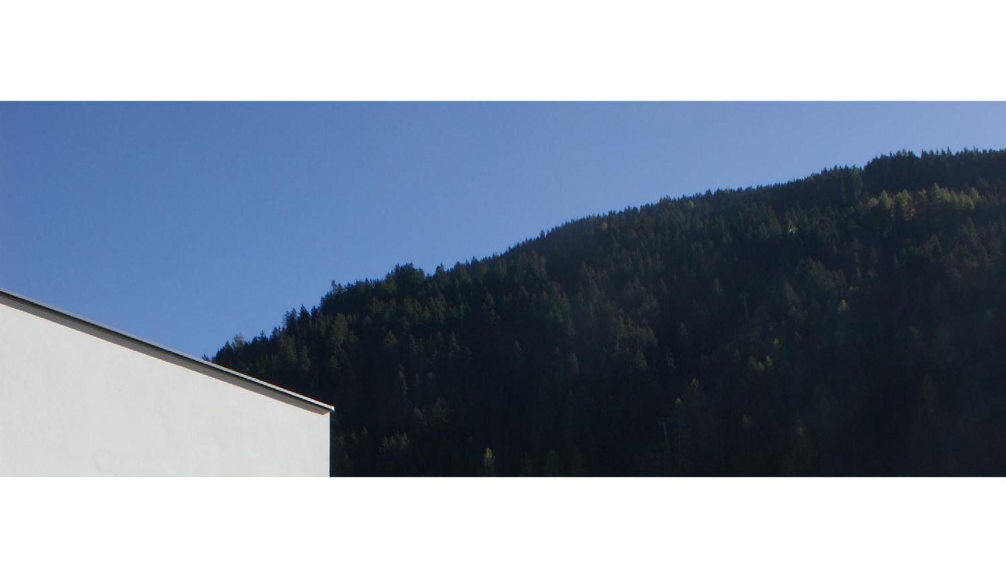 Laudinella - *